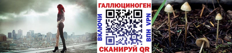 Псилоцибиновые грибы GOLDEN TEACHER  МЕГА tor  Бердск  наркотики 