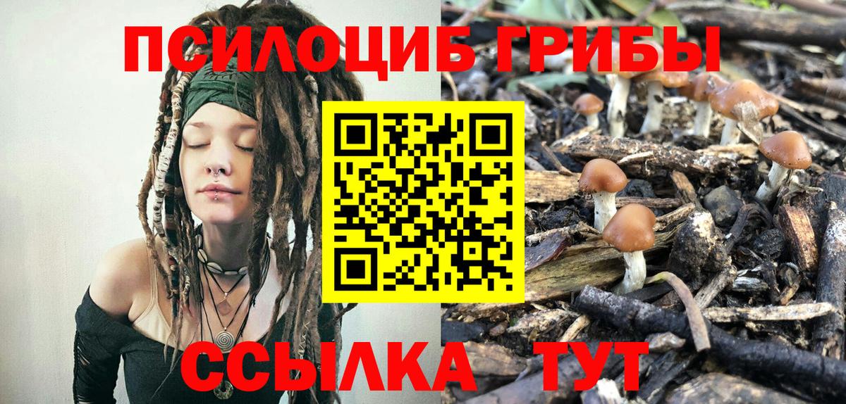 Бердск  Галлюциногенные грибы прущие грибы  цены наркотик  Вход с VPN 